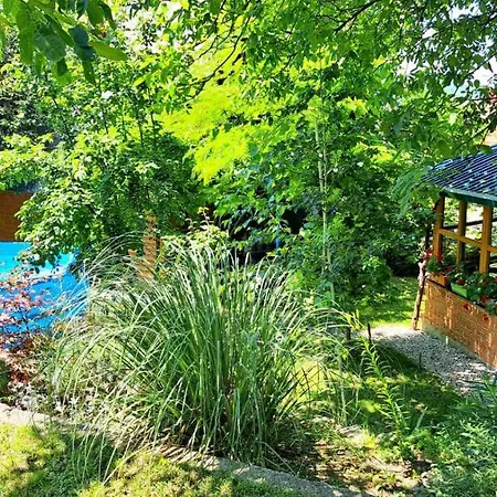 Sarajevo * Hadžići